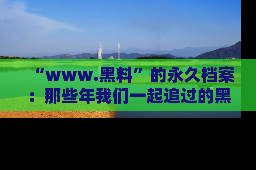 “www.黑料”的永久档案:那些年我们一起追过的黑料真相