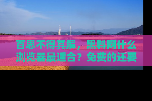 百思不得其解,黑料网什么浏览器最适合?免费的还要能吃瓜太难了!