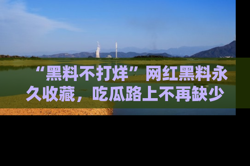 “黑料不打烊”网红黑料永久收藏,吃瓜路上不再缺少惊喜与乐趣