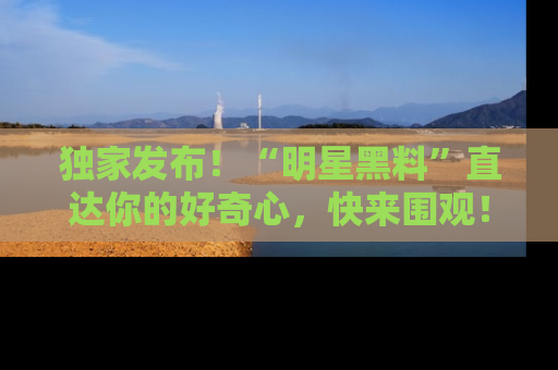 独家发布！“明星黑料”直达你的好奇心，快来围观！