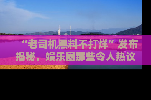 “老司机黑料不打烊”发布揭秘,娱乐圈那些令人热议的黑暗秘密!
