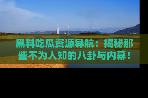 黑料吃瓜资源导航：揭秘那些不为人知的八卦与内幕！