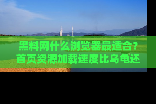黑料网什么浏览器最适合？首页资源加载速度比乌龟还慢的体验真心吐槽！