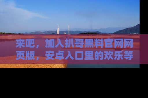 来吧，加入扒哥黑料官网网页版，安卓入口里的欢乐等着你！