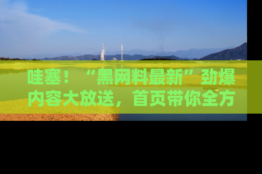 哇塞!“黑网料最新”劲爆内容大放送,首页带你全方位了解哦,小可爱们