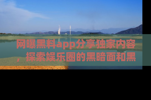 网曝黑料app分享独家内容，探索娱乐圈的黑暗面和黑料