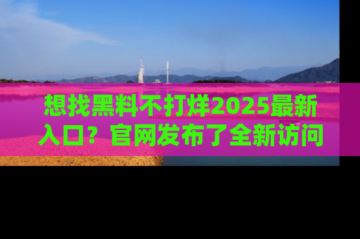 想找黑料不打烊2025最新入口？官网发布了全新访问指南！