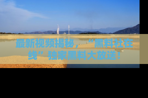 最新视频揭秘,“黑料社在线”独家黑料大放送!